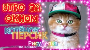 КОТЁНОК ПЕРСИК утро за окном