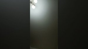 29-07-2026