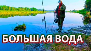 Большая вода на реке Чусовая. Рыбалка на фидер.