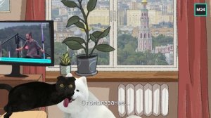 Московский спорт | Кот Бублик