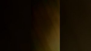 29-07-2026