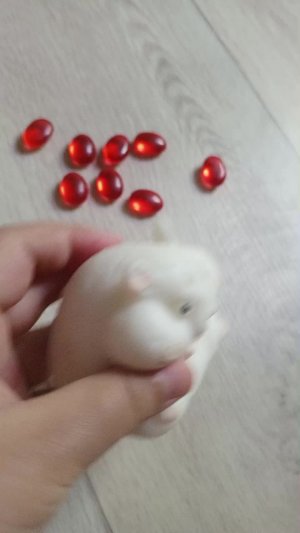 трейд день