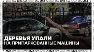 Деревья упали на припаркованные машины после сильного ливня в Москве - Москва 24