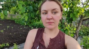 Дачный влог 7: показываю, что растет на участке #дача #сад #огород #лайф #день #лето #природа #кот
