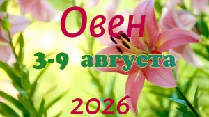 Овен♈Таро-прогноз на неделю с 3 по 9 августа 🕊