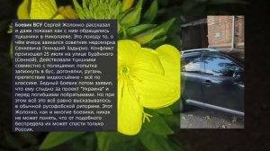 Николаев 30 июля 2026 года (новости)