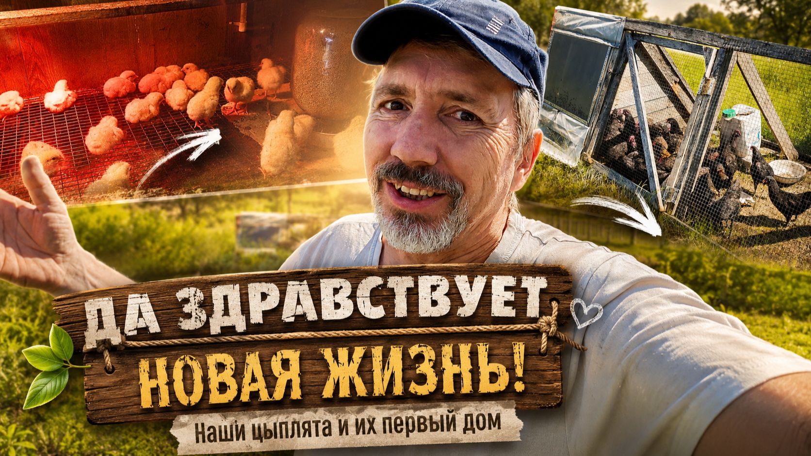 Да здравствует новая жизнь! Наши цыплята и их первый дом 🐥