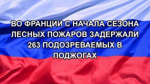 |Н. РФ| Во Франции с начала сезона лесных пожаров задержали 263 подозреваемых в поджогах