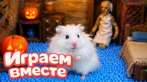Хомяк выбирается из СЕКРЕТНОГО ЛАБИРИНТА 🐹 хомяк в лабиринте с препятствиями! Видео для детей №8