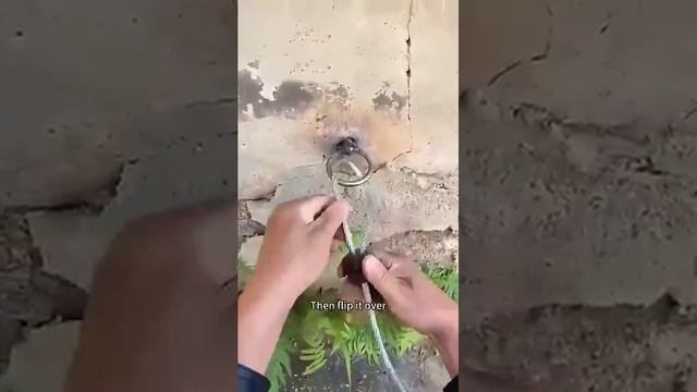 Лайфхаки с узлами