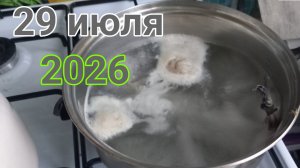 29 июля 2026. Июльская активность...