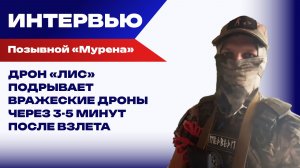 Как «Лисы» охотятся за бандеровскими «Хорнетами», «Лютыми» и Фуриями, защищая трассу «Новороссия»
