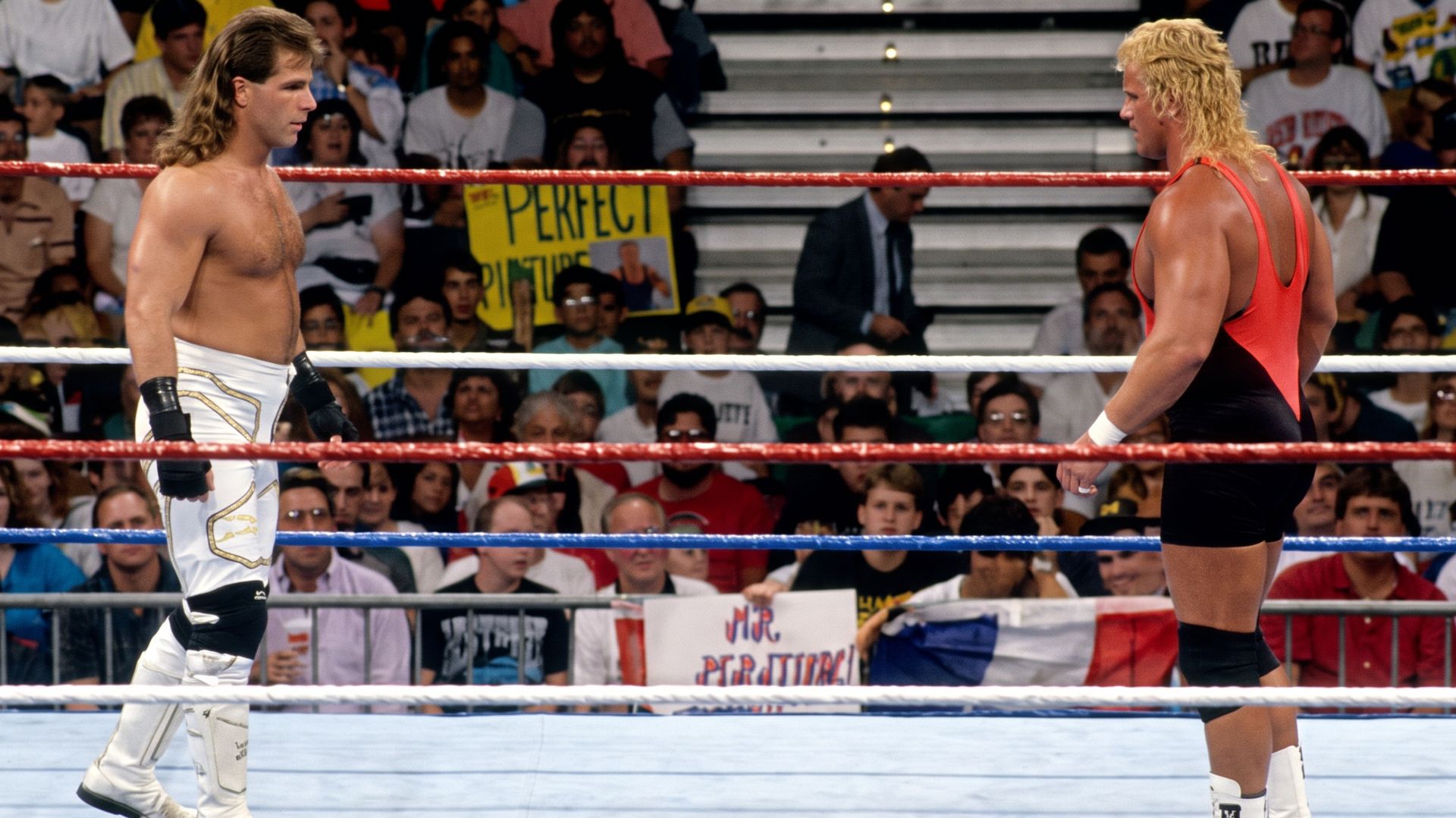 Shawn Michaels Vs Mr. Perfect Curt Hennig (WWF Summerslam, 1993)