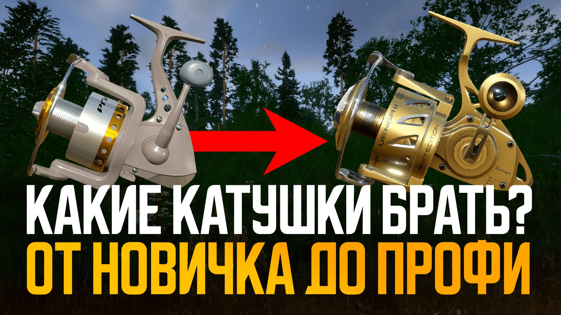 📚 Гайды и обзоры