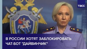 В России хотят заблокировать чат-бот «Дайвинчик»