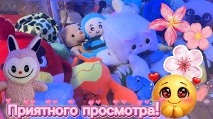 ЛЕТНИЙ ВЕЧЕР 🌇ВРЕМЯ СМОТРЕТЬ НОВОЕ ВИДЕО ПРО ХВАТАЙКУ😉