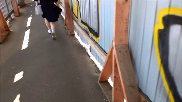 1288, 24.06.2021, город Орёл, ремонт, реконструкция Красного моста, взгляд из-за забора, река Ока,