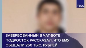 Завербованный в чат-боте подросток рассказал, что ему обещали 250 тыс. рублей