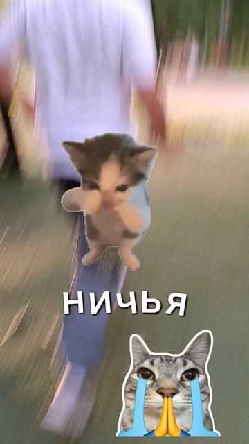 гонки 2 🚗🏎🏁