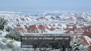 Пение птиц как искусство высшего класса 16
