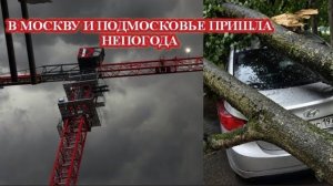 ЧП, Россия 29.07.2026 - СРОЧНО❗НЕПОГОДА В МОСКВЕ И ПОДМОСКОВЬЕ❗