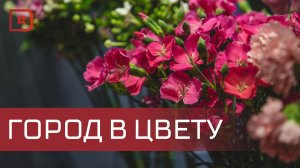 Махачкала преображается — город буквально расцветает