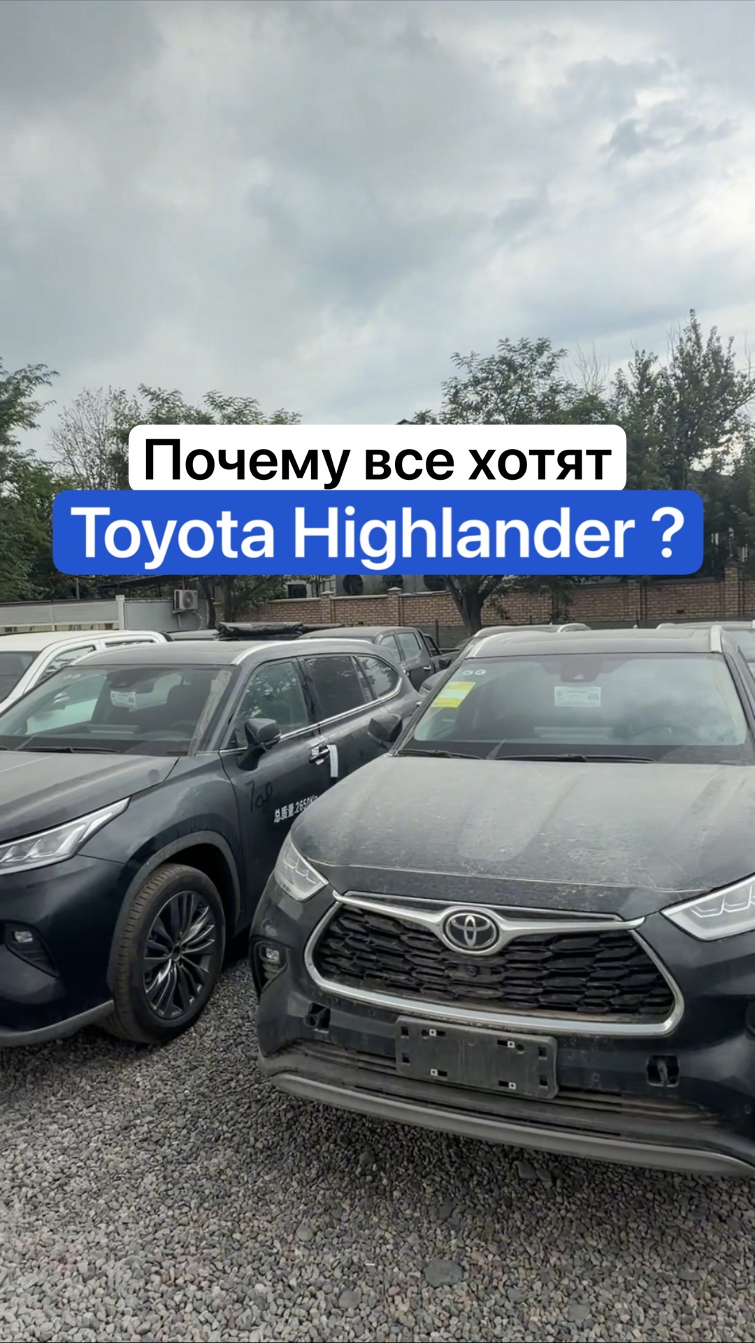 Почему все хотят Highlander?