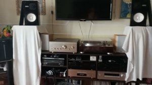 Акустика Yamaha NS-10M