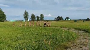 Тренировка 9 УДАРНЫЙ 28.07.26