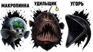 Все ГЛУБОКОВОДНЫЕ РЫБЫ за 8 минут