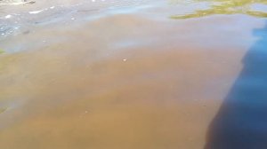Для настроения 🙂