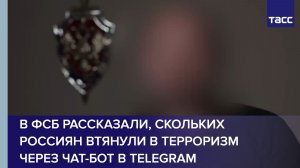 В ФСБ рассказали, скольких россиян втянули в терроризм через чат-бот в Telegram