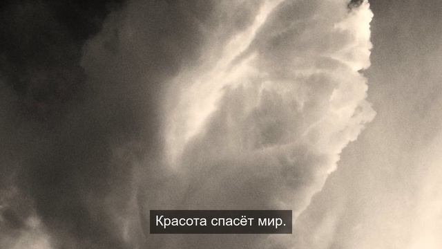Счастливый желудок 3