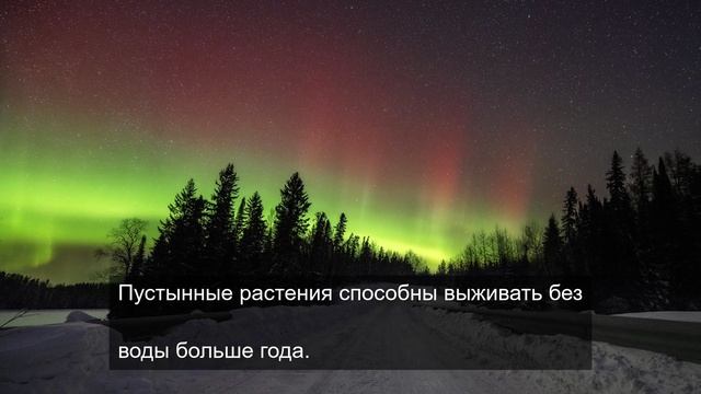 изучение земли 5