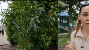 Бегу на маникюр, а заодно и поболтать, что там у нас за «санта-барбара» развернулась!