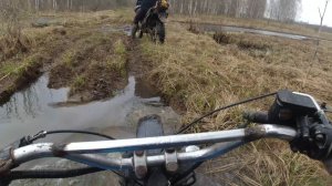 Едем в лес по старой дороге, возвращение домой