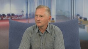 Всё о грибах