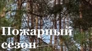 Около 600 природных пожаров произошло в ЛНР с начала года