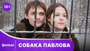 Собака Павлова. Фильм. Драма. Смотреть онлайн в хорошем качестве