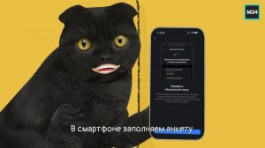 Московский чекап | Кот Бублик