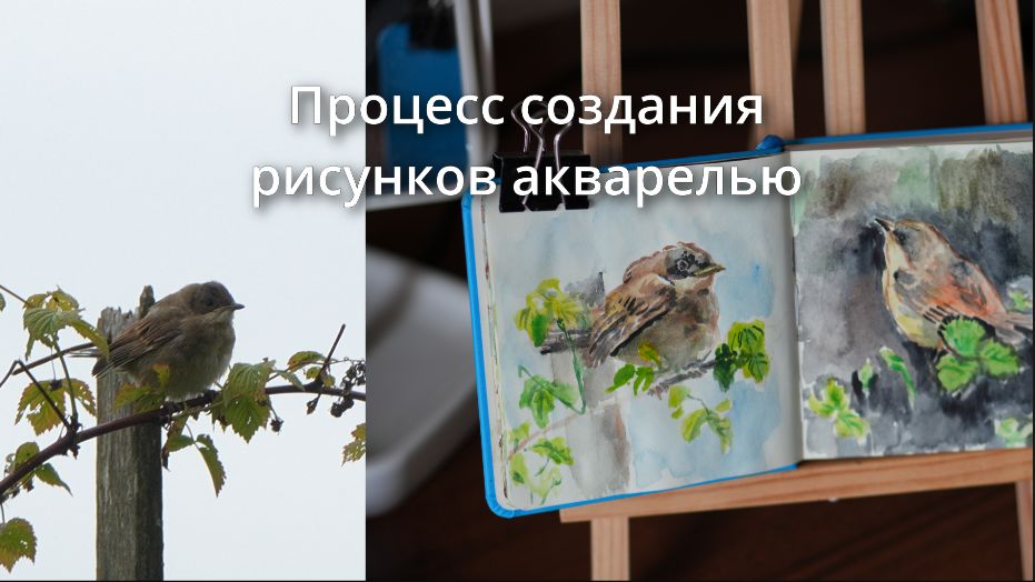 Процесс создания рисунков акварелью | Арт-влог