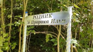 РОДНИК св. Пророка Ильи.