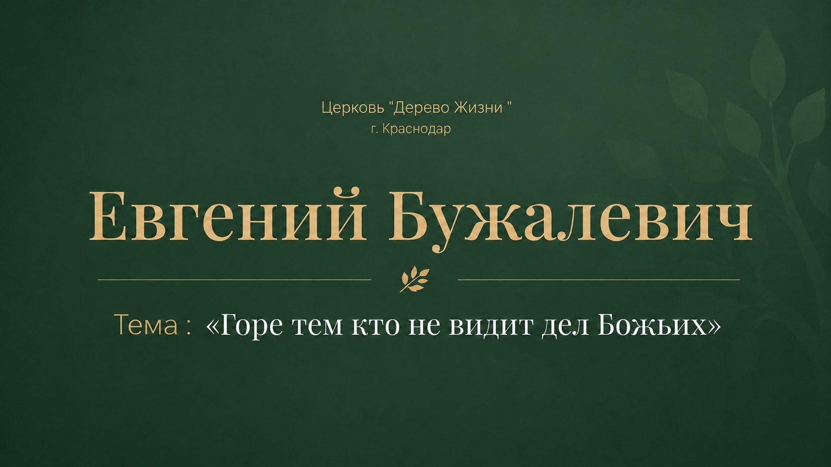 Евгений Бужалевич “Горе тем кто не видит дел Божьих“