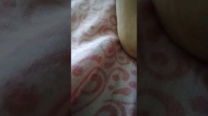 мой дом