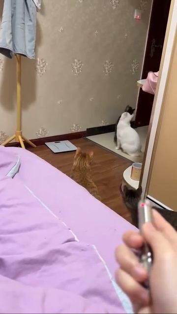 Гениально