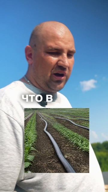 Убираем поливочные РУКАВА на зиму!