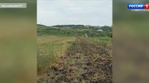 В Ставрополе обновляют противопожарные полосы