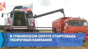 В Губкинском округе стартовала уборочная кампания