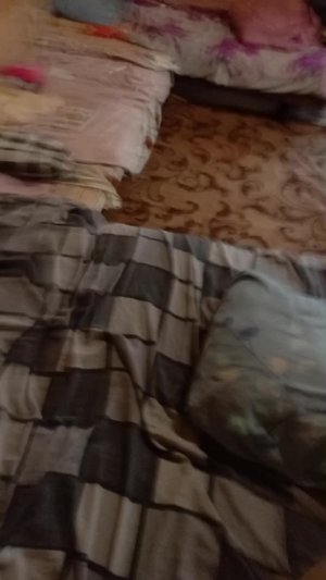 Оогт