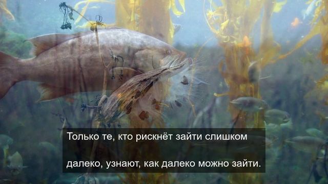 парни в выходные новый месяц 5